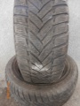 SZ0248 (2)